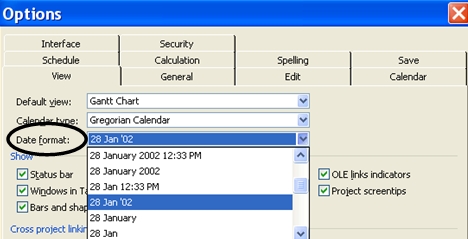 setting date formats in ms project